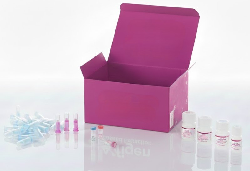 Kit ELISA TNF-α (Factor de Necrosis Tumoral Alfa) de ovejas – 96 pruebas